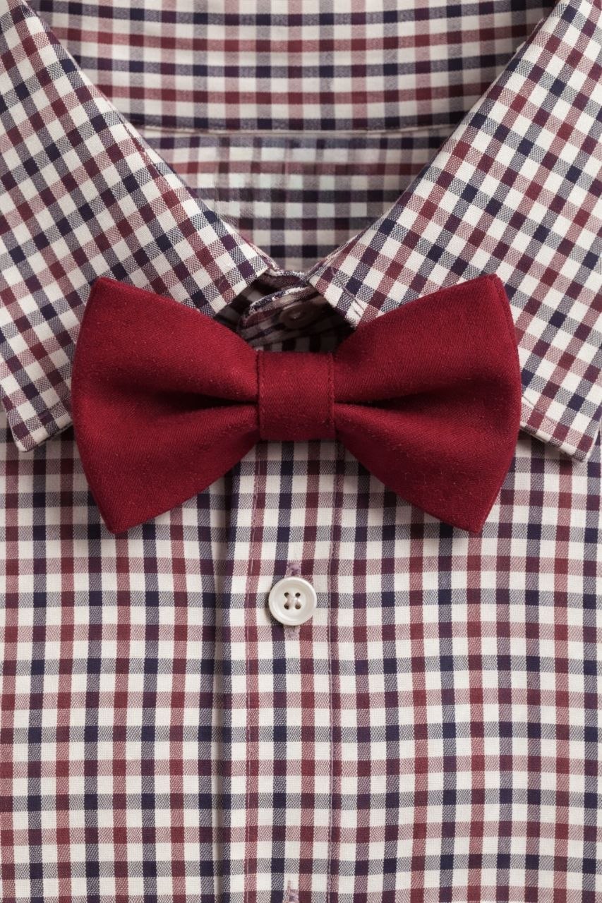 Shirt with bow